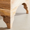 Picture of Solid Wood Mango Storage Coffee Table