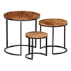 Picture of Chelli Solid Wood Nested Side Table In Natural & Metal Finish