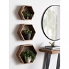 Picture of Hexagonal Wood Shelf Set of 3