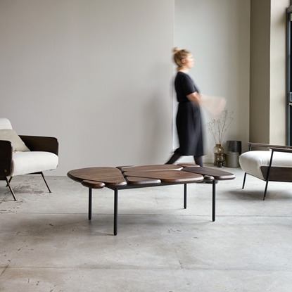 Picture of Coffee table in Mango wood and metal